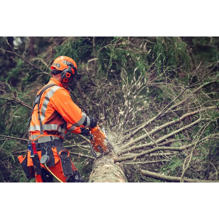 Husqvarna Motorsäge 564 XPG